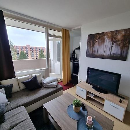 Ferienwohnung Altenau Im Harz, Hunde المظهر الخارجي الصورة