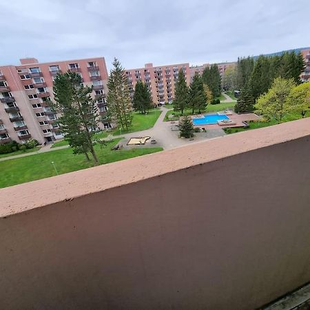 Ferienwohnung Altenau Im Harz, Hunde المظهر الخارجي الصورة