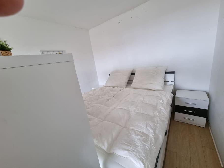 Ferienwohnung Altenau Im Harz, Hunde المظهر الخارجي الصورة